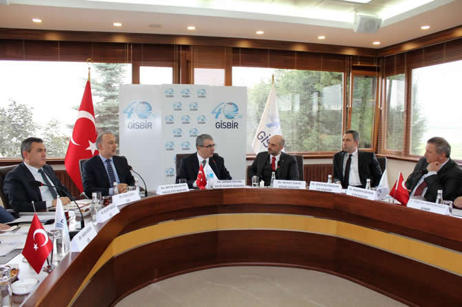 gisbir-028.jpg