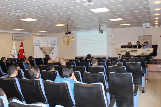 gisbir2.20130510112300.jpg