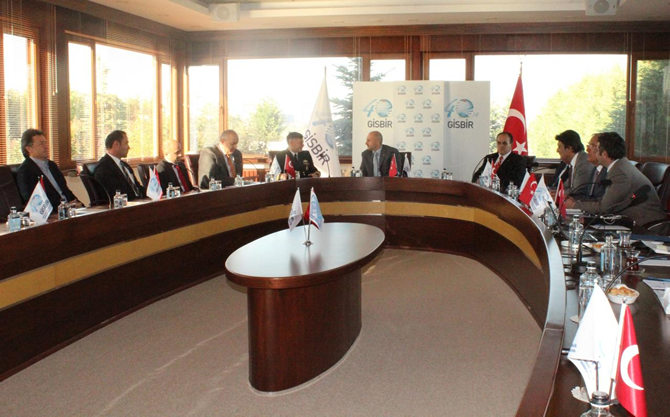 gisbir3-004.jpg