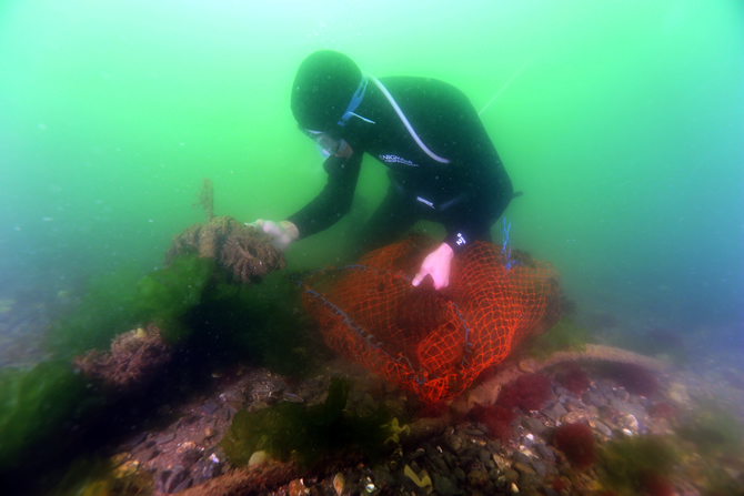 gokan_karatas_4.jpg gokan_karatas_4.jpg