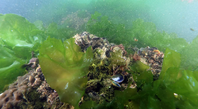 gokan_karatas_7.jpg gokan_karatas_7.jpg