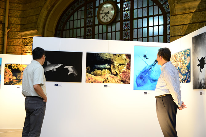 gokhan3.jpg gokhan3.jpg