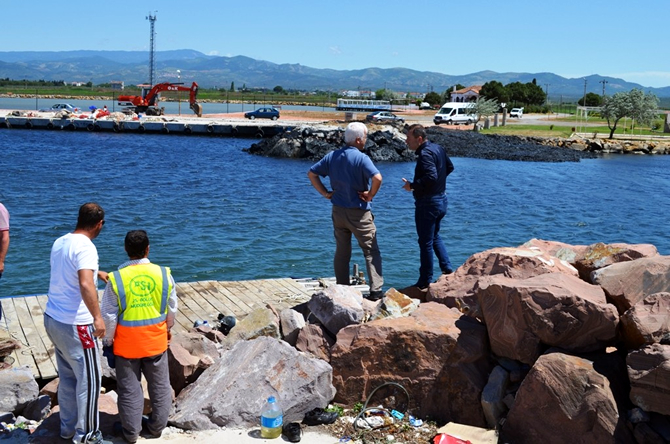 gomec3.jpg gomec3.jpg