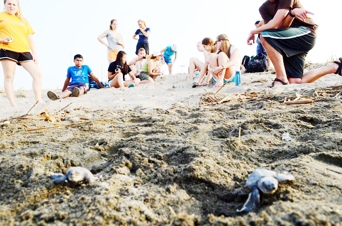 gumuskum1.jpg gumuskum1.jpg