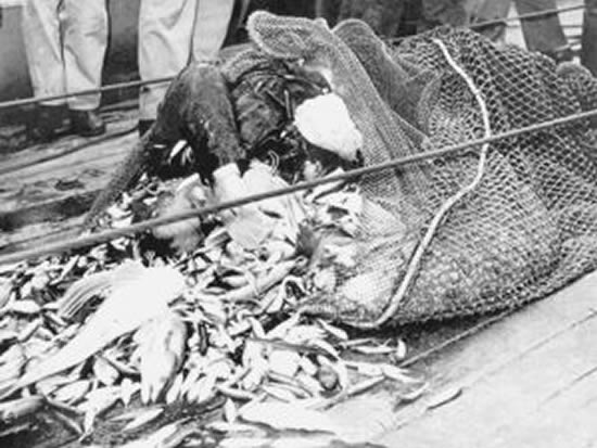 haberresim8571martkurbanlarfdb.jpg haberresim8571martkurbanlarfdb.jpg