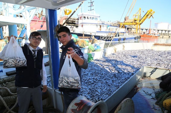 hamsi3.jpg hamsi3.jpg