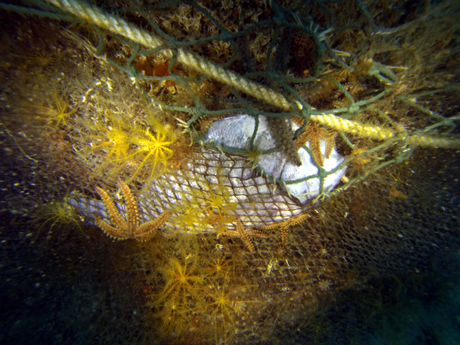 hayalet_ag1-001.jpg hayalet_ag1-001.jpg