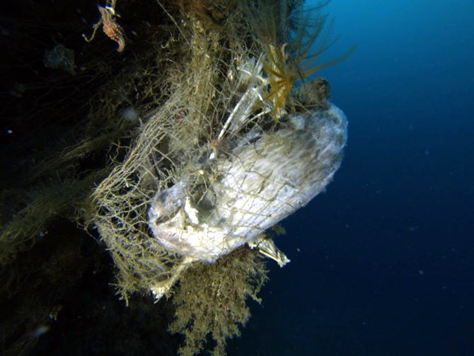 hayalet_ag2-001.jpg hayalet_ag2-001.jpg