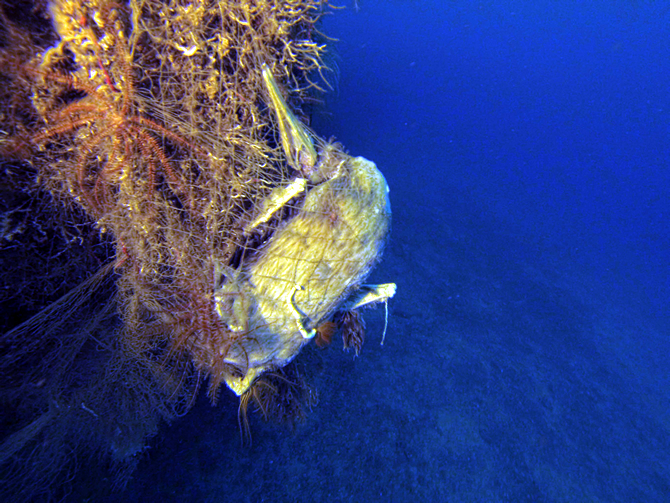 hayalet_ag3-001.jpg hayalet_ag3-001.jpg