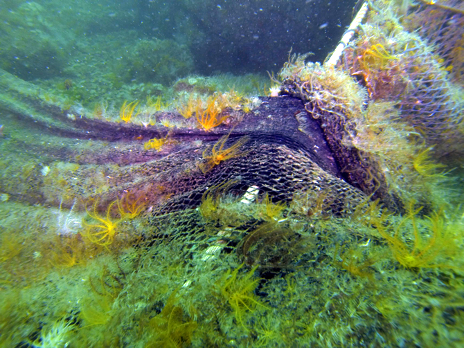 hayalet_ag4.jpg hayalet_ag4.jpg