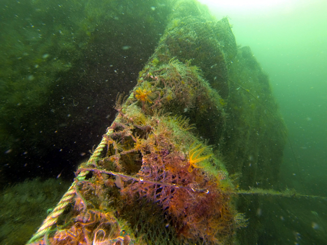 hayalet_ag5.jpg hayalet_ag5.jpg