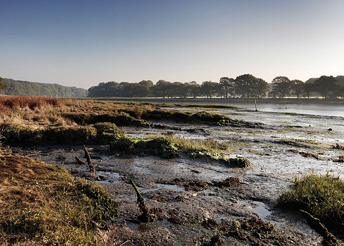 holy_ghost_denizhaberajansi_6-001.jpg holy_ghost_denizhaberajansi_6-001.jpg