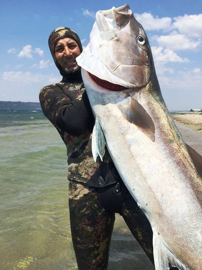 ic-1-014.jpg ic-1-014.jpg