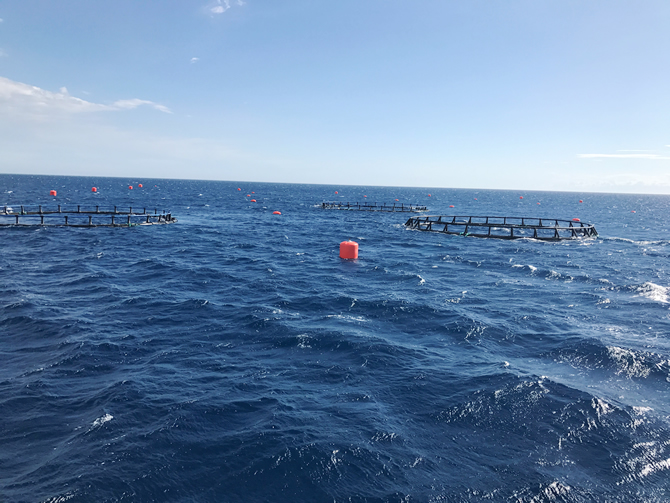 ic-amerika.jpg ic-amerika.jpg