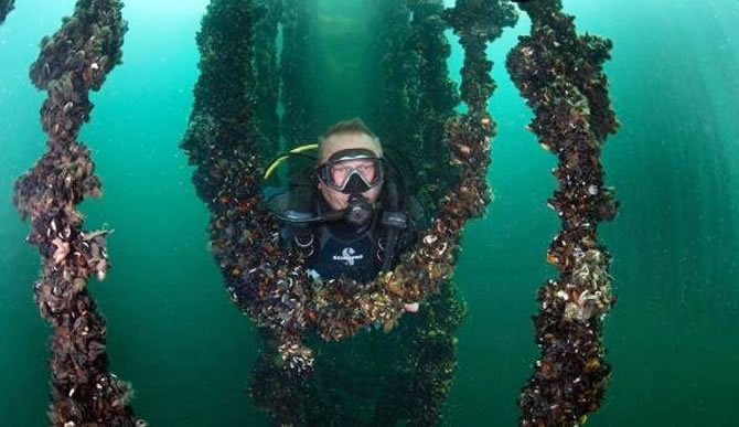 iki-yildir-antalyanin-su-alti-zenginliklerini-goruntuluyor_2.jpg