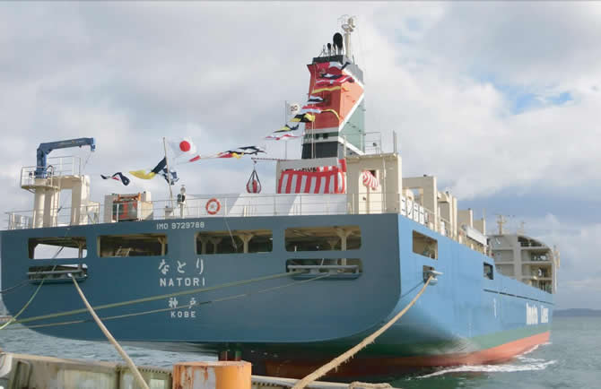 imoto_lines_denizhaberajansi_1.jpg imoto_lines_denizhaberajansi_1.jpg