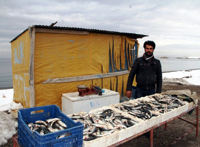 inci-kefaline-nazik-golu-baligi-darbesi-.jpg inci-kefaline-nazik-golu-baligi-darbesi-.jpg