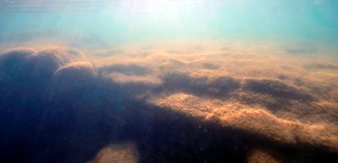 iznik1.jpg iznik1.jpg