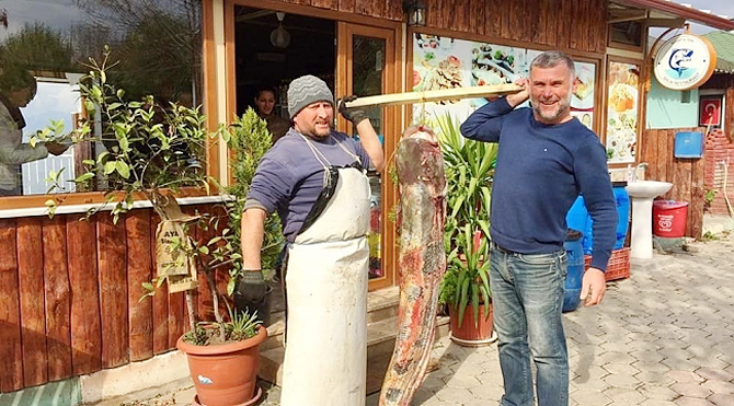 iznik_yayin_baligi.jpg iznik_yayin_baligi.jpg