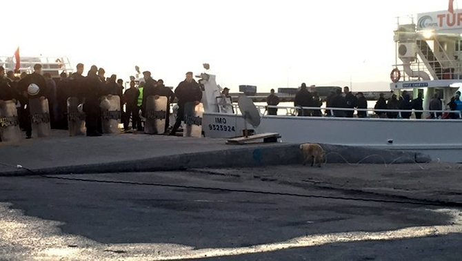 kacak3-021.jpg kacak3-021.jpg