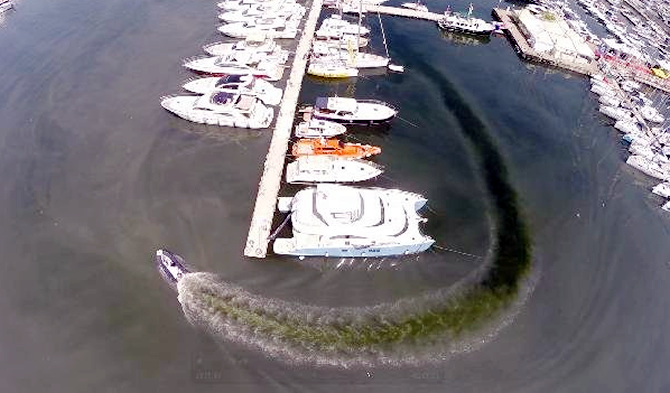 kalamis1.jpg kalamis1.jpg