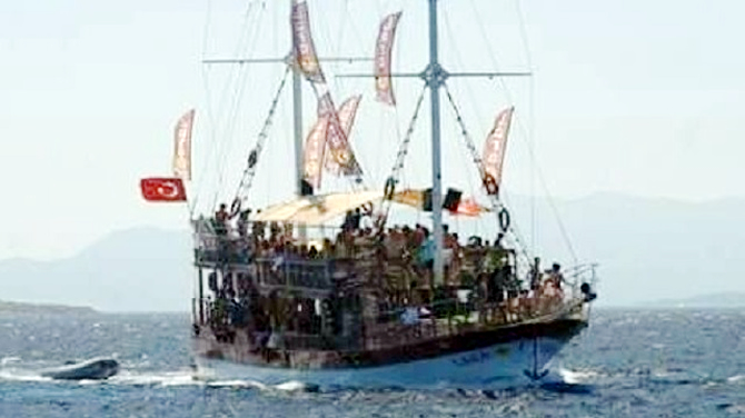 kaza1-006.jpg kaza1-006.jpg