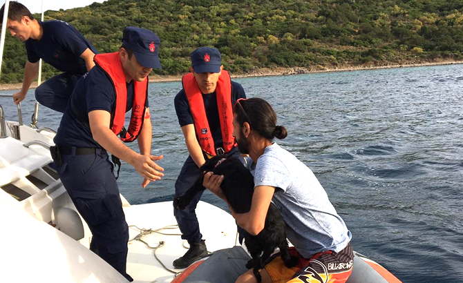 kirsalda_mahsur_kalanlari_sahil_guvenlik_kurtardi_3.jpg