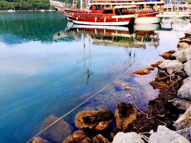 kizkumu2.jpg kizkumu2.jpg