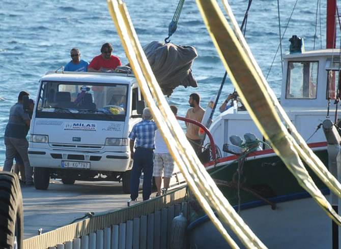 koc1-005.jpg koc1-005.jpg