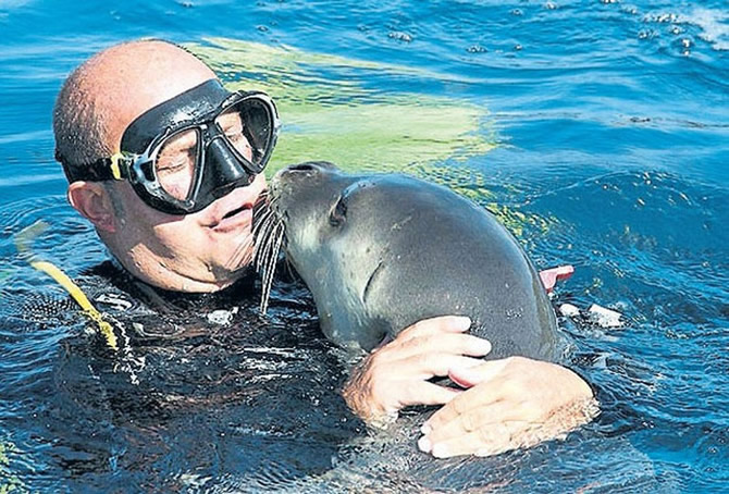 koc3-004.jpg koc3-004.jpg