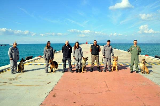 kopek1-001.jpg kopek1-001.jpg