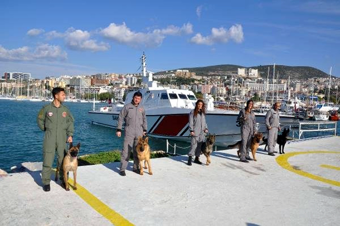 kopek2-001.jpg kopek2-001.jpg