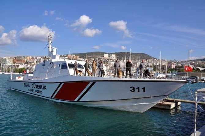 kopek3-001.jpg kopek3-001.jpg