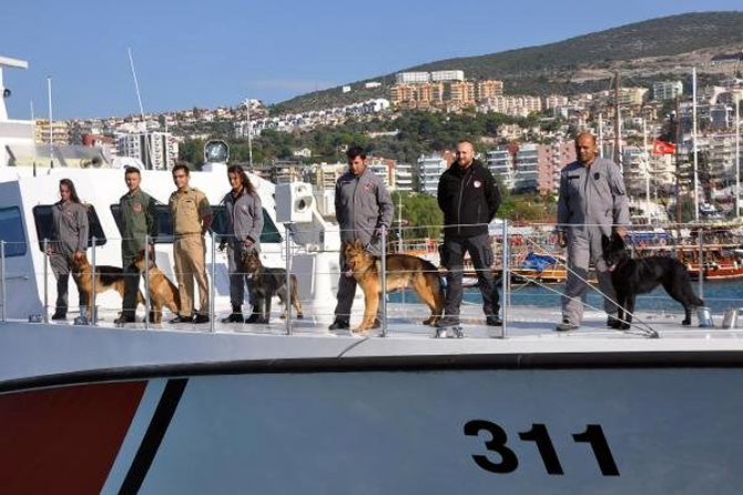 kopek4.jpg kopek4.jpg