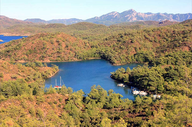 koy-003.jpg koy-003.jpg