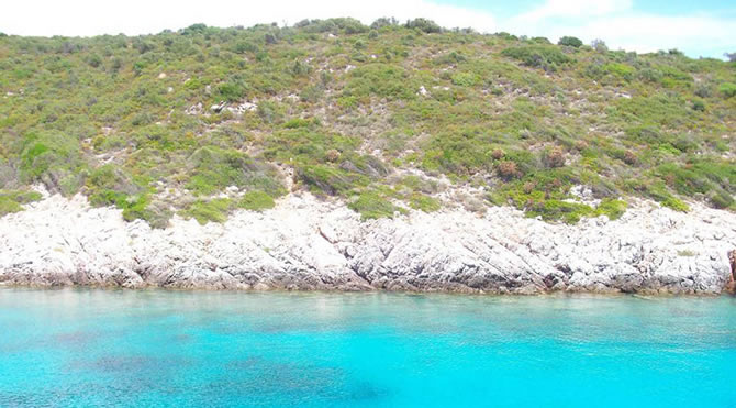 koy10-001.jpg koy10-001.jpg