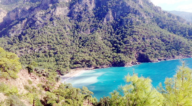 koy2-001.jpg koy2-001.jpg