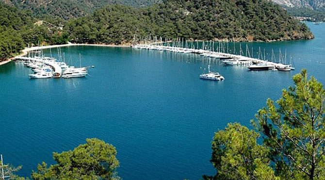 koy5-001.jpg koy5-001.jpg