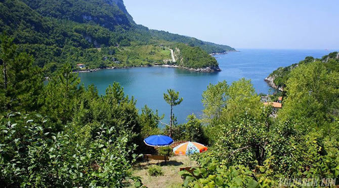 koy6-001.jpg koy6-001.jpg