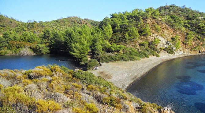 koy7-002.jpg koy7-002.jpg