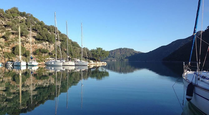 koy8-002.jpg koy8-002.jpg