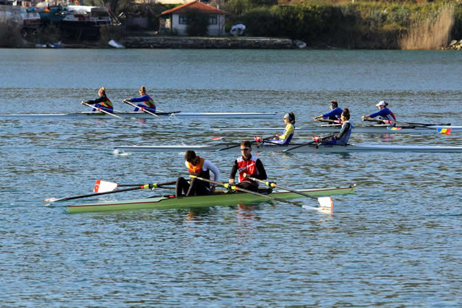 kurek2.jpg kurek2.jpg