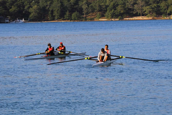 kurek4.jpg kurek4.jpg