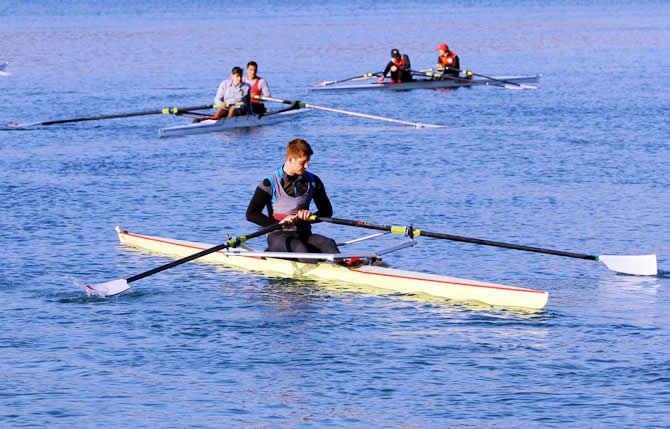 kurek5.jpg kurek5.jpg