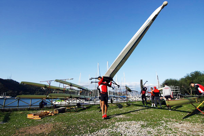 kurek9.jpg kurek9.jpg