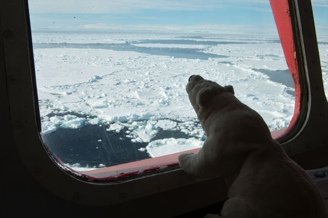 kutup10.jpg kutup10.jpg