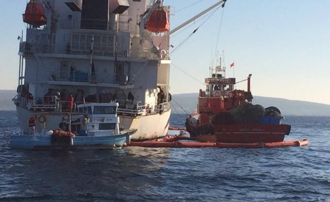 lady_tuna_.jpg lady_tuna_.jpg