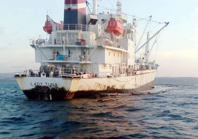 ladytuna_1-002.jpg ladytuna_1-002.jpg