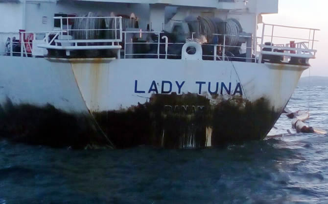 ladytuna_2-002.jpg ladytuna_2-002.jpg