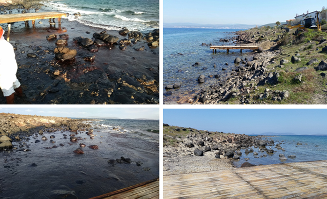 mare_1-001.jpg mare_1-001.jpg